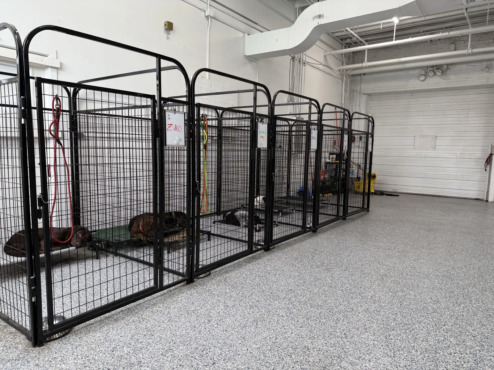 Designated rest area, not cage-free, at Beegan K9 dog daycare Cleveland