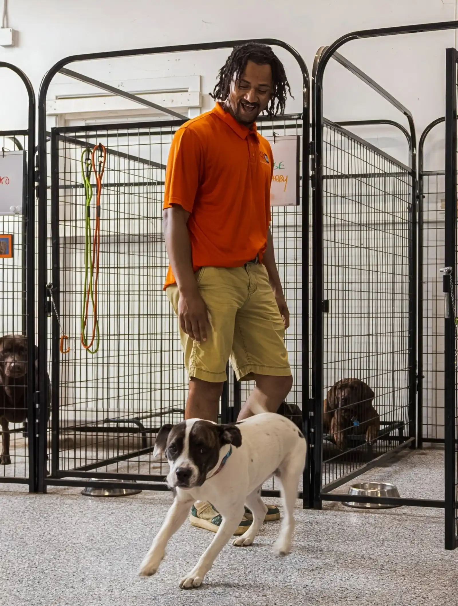 Zach Saxton with a dog at Beegan K9